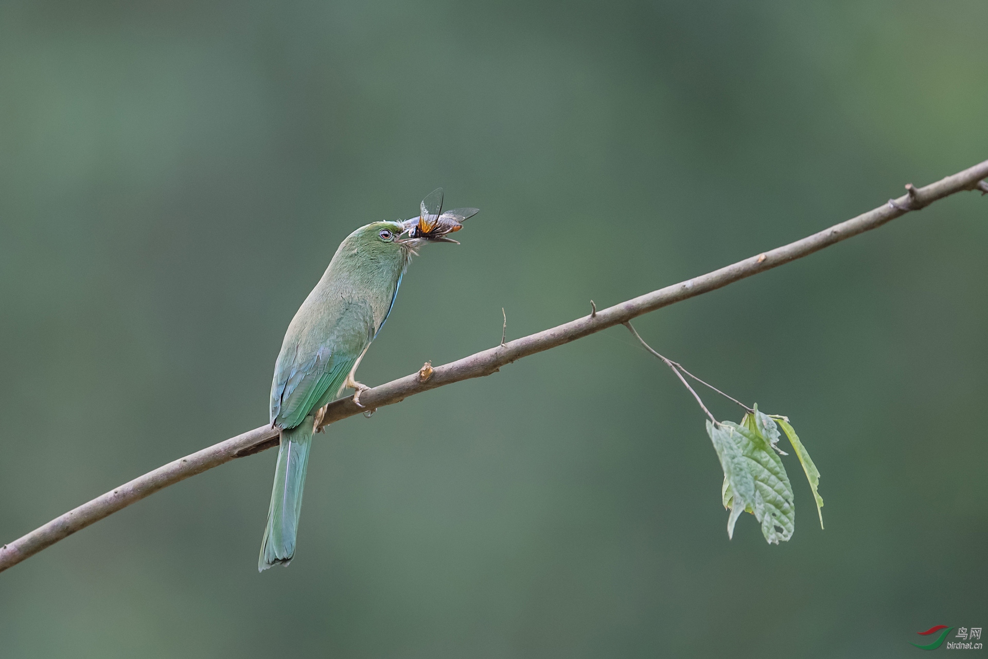 DSC_0374.jpg