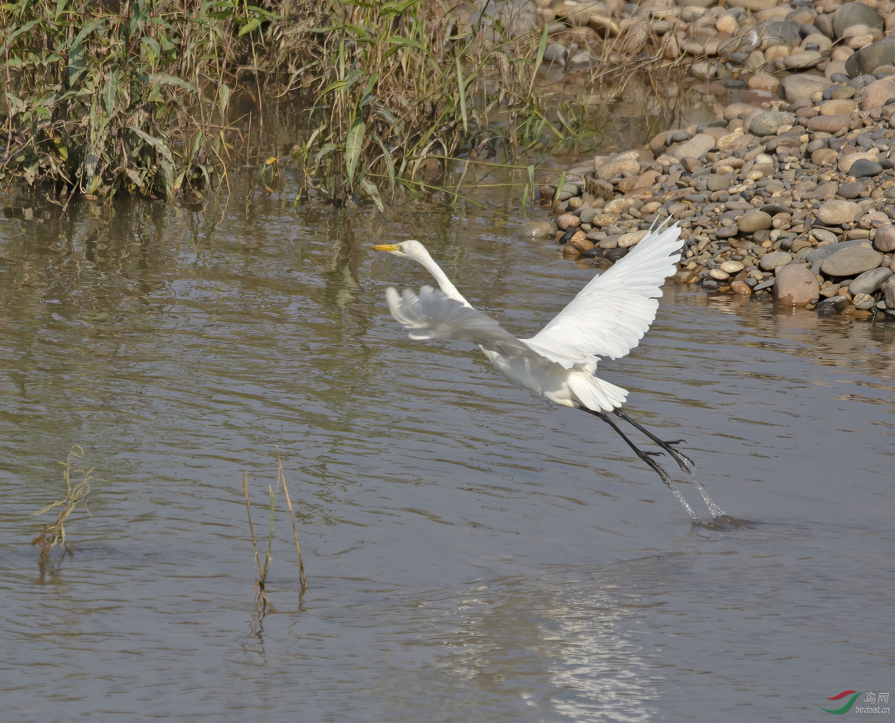 DSC_2431.jpg