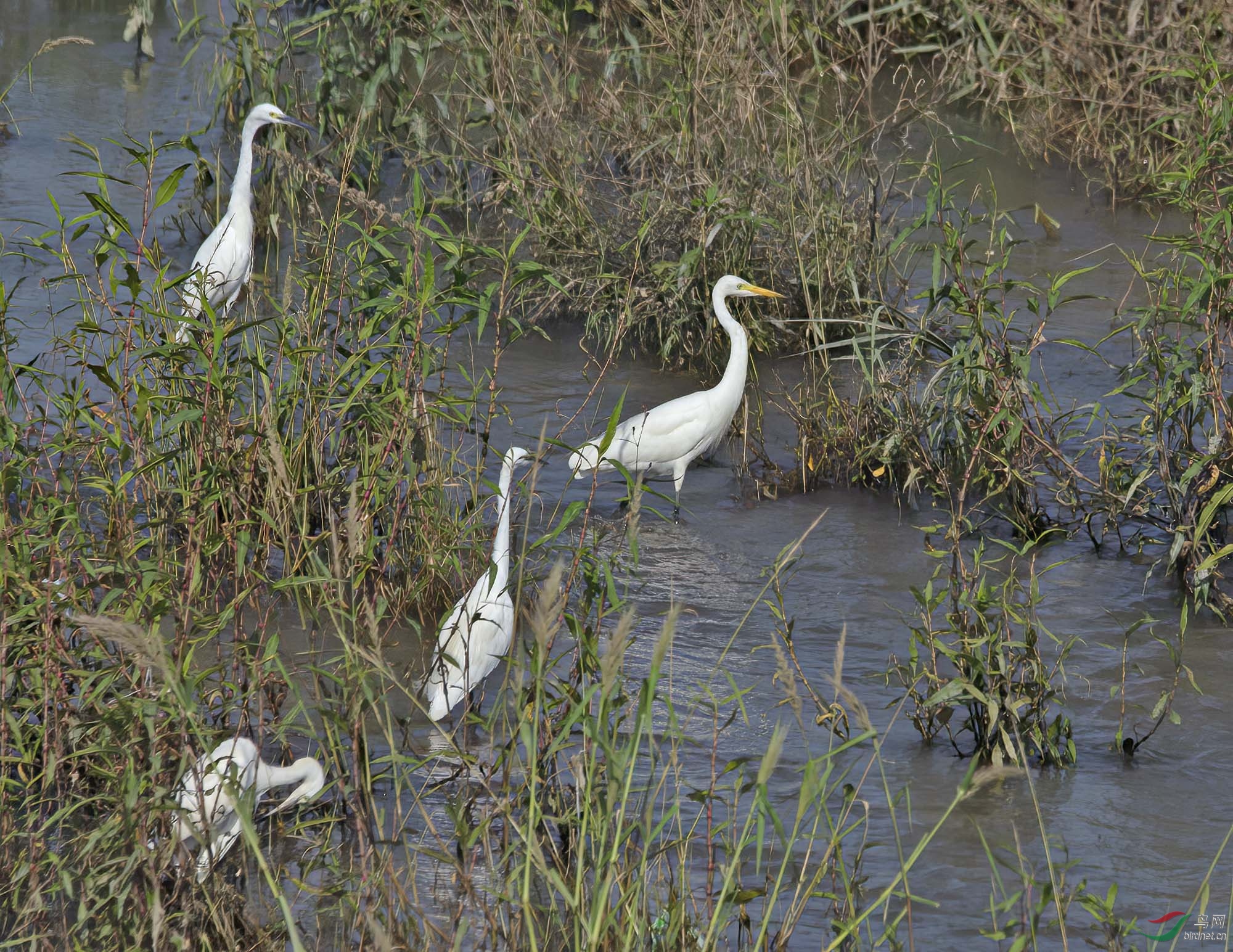 DSC_2551.jpg