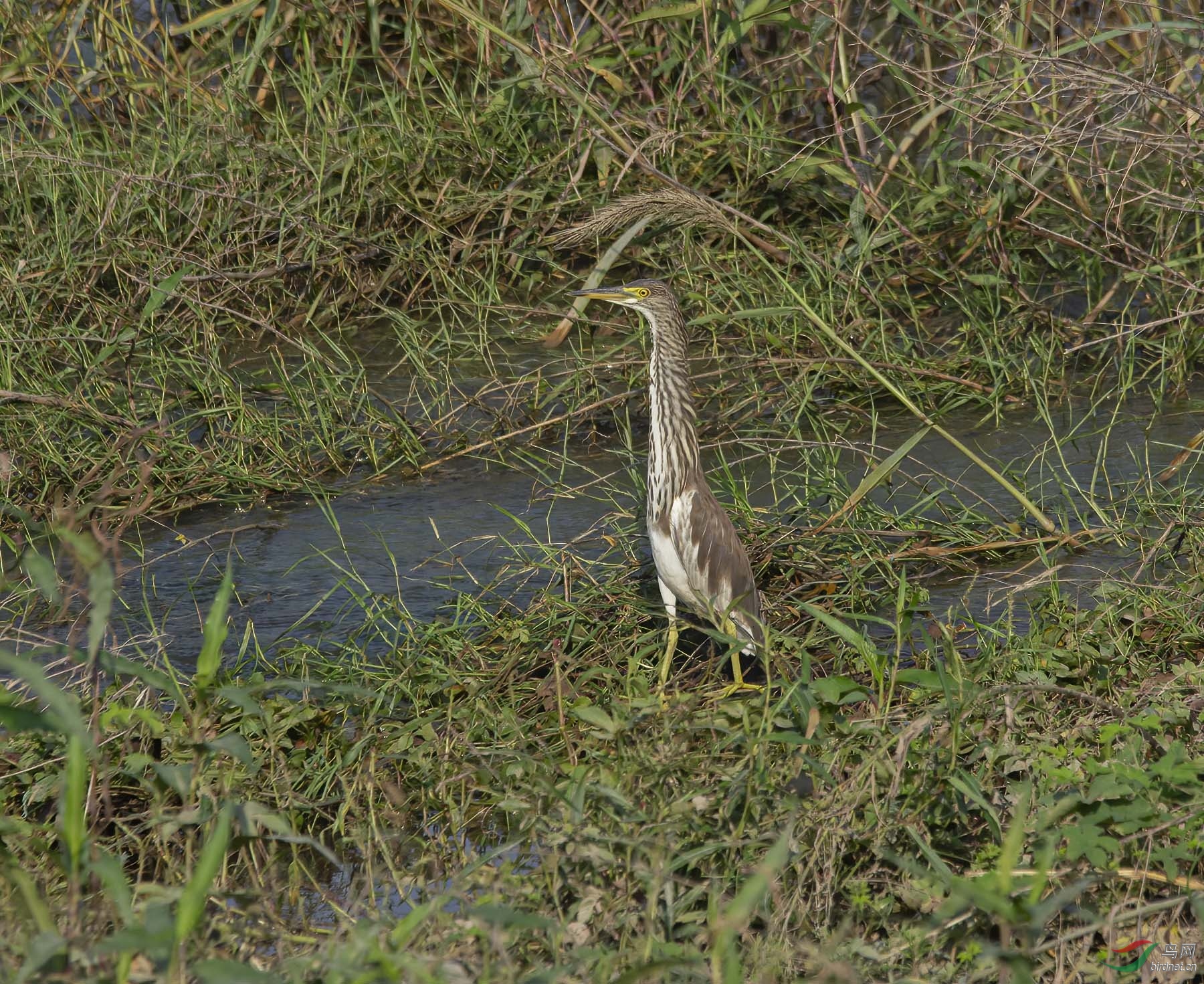 DSC_2416.jpg