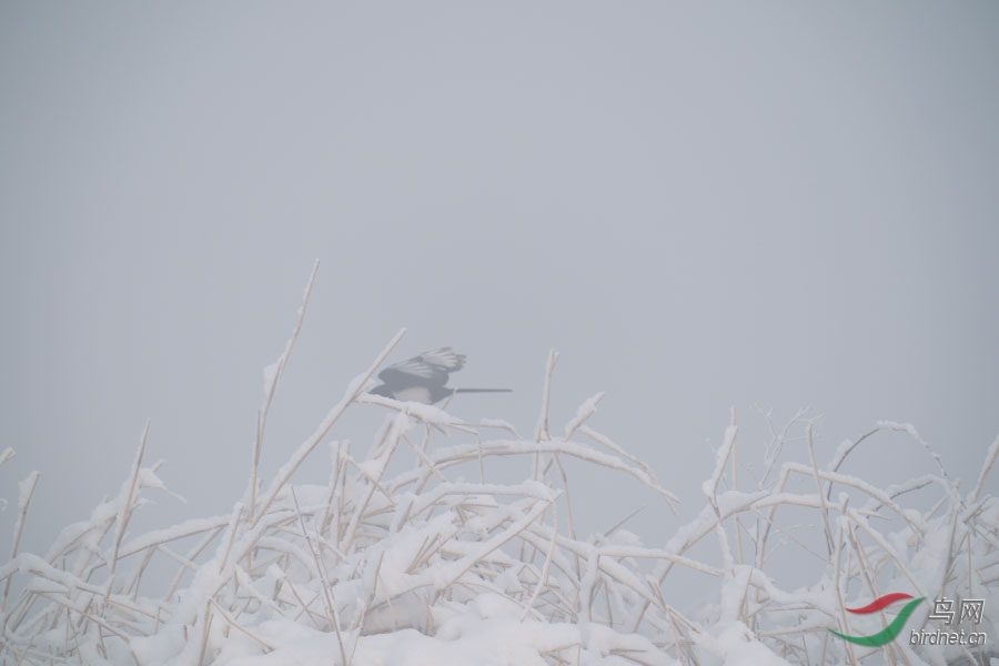 DSC00698.jpg