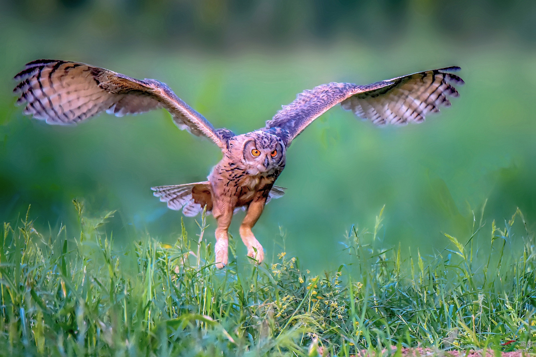 DSC_3832_����_���� (2)_����.jpg