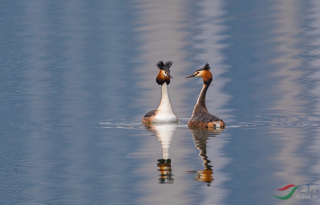B79T8296.jpg