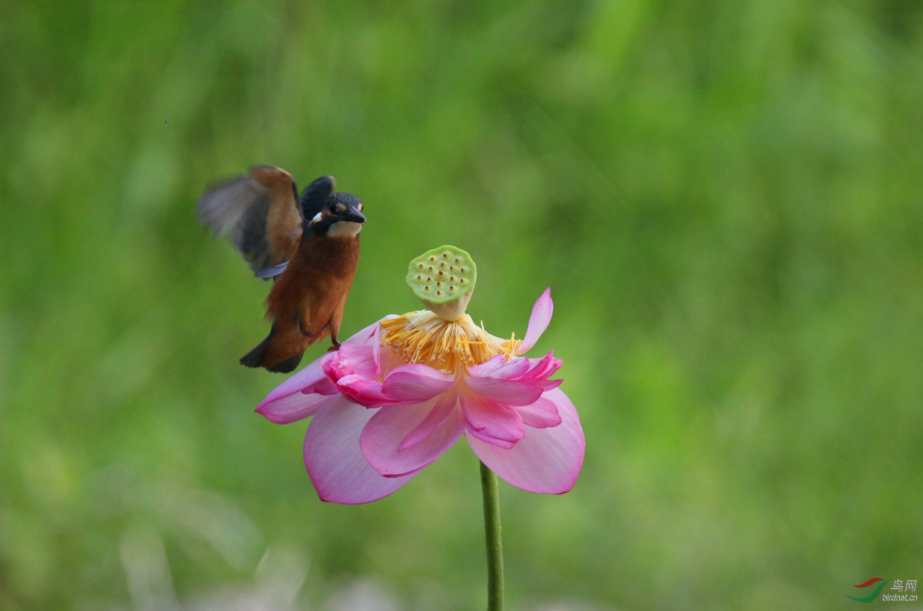 2016.7.���� 059.jpg