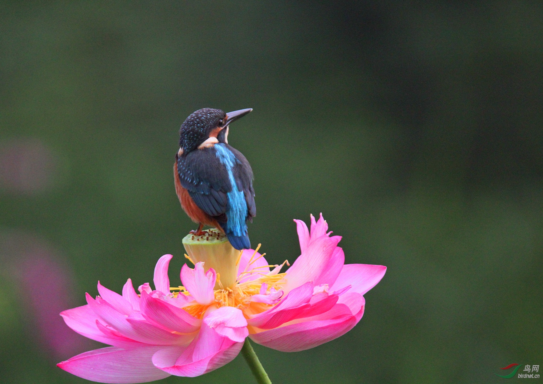 2016.7.���� 132.jpg