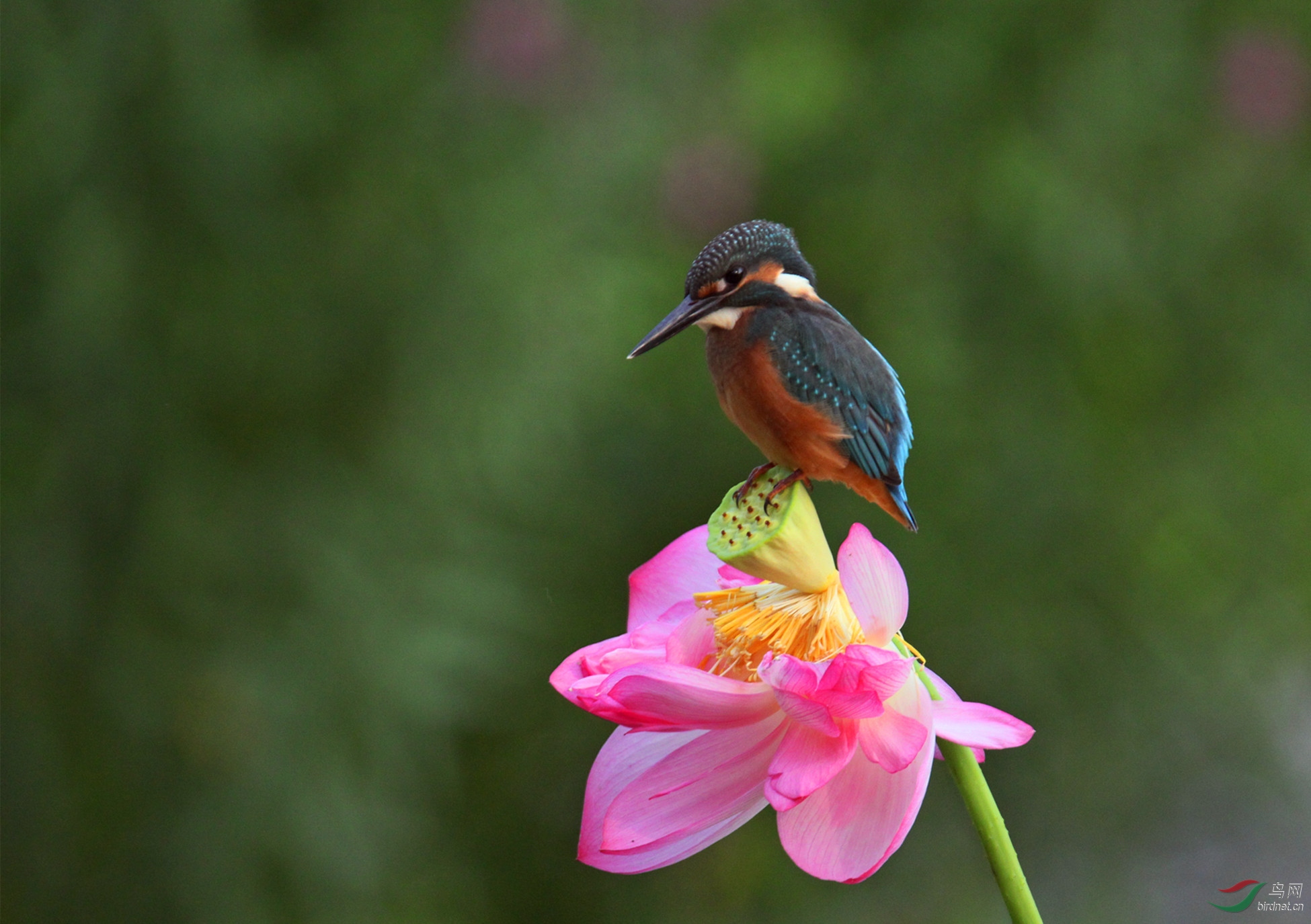 2016.7.���� 065.jpg