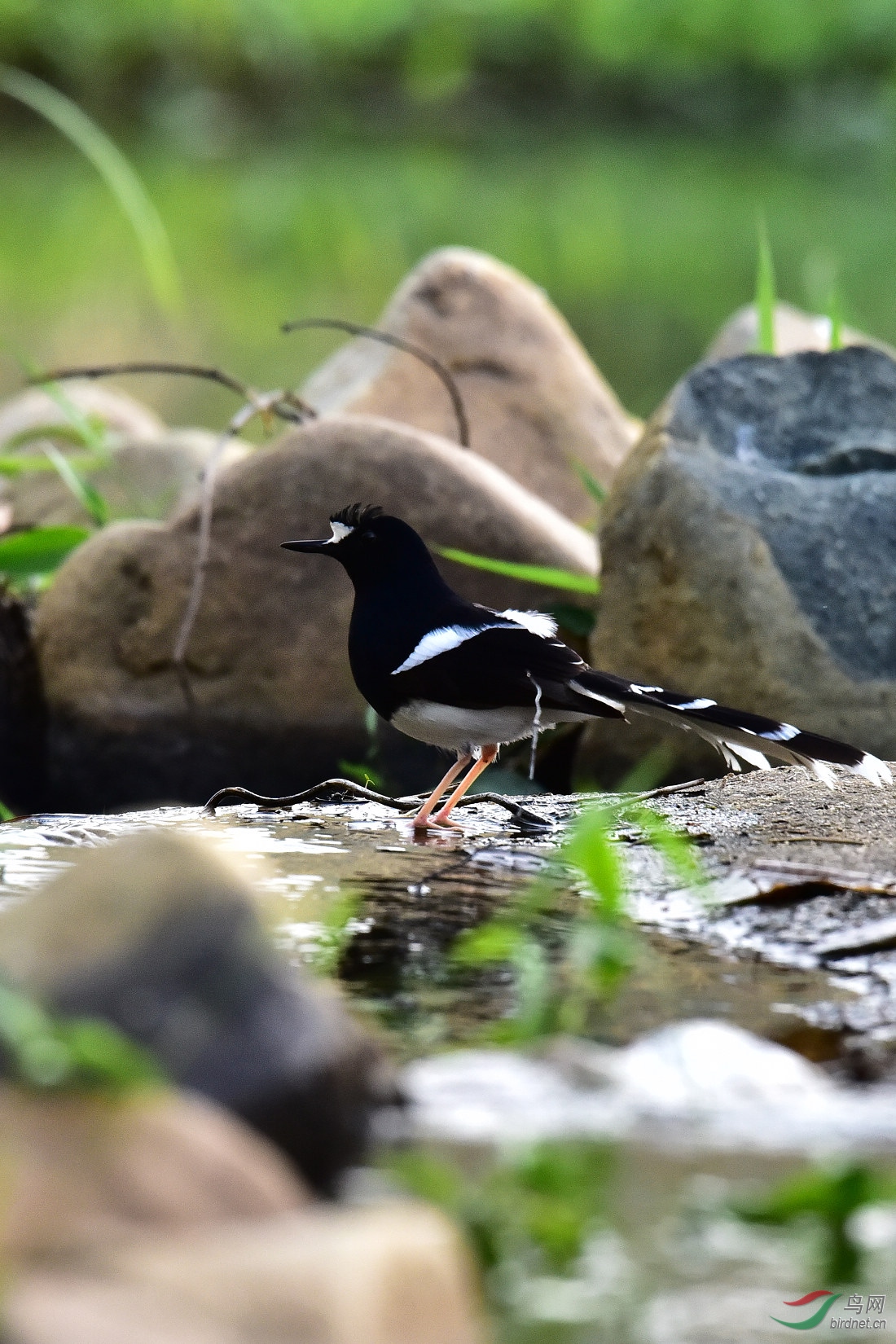 DSC_0954.JPG