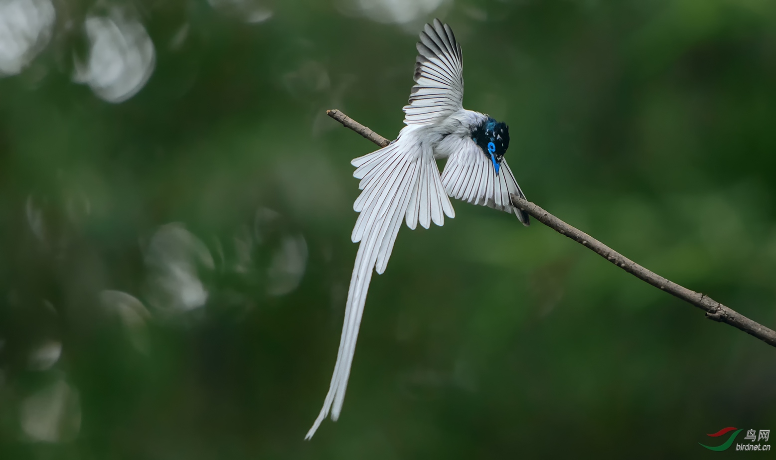 DSC_3917.jpg