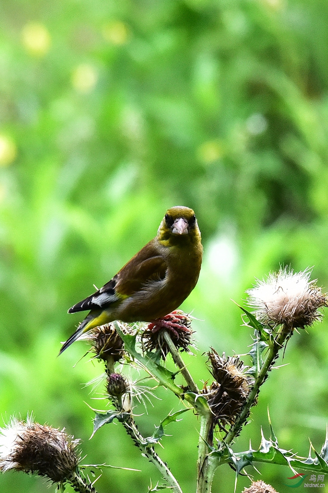 DSC_0957.JPG