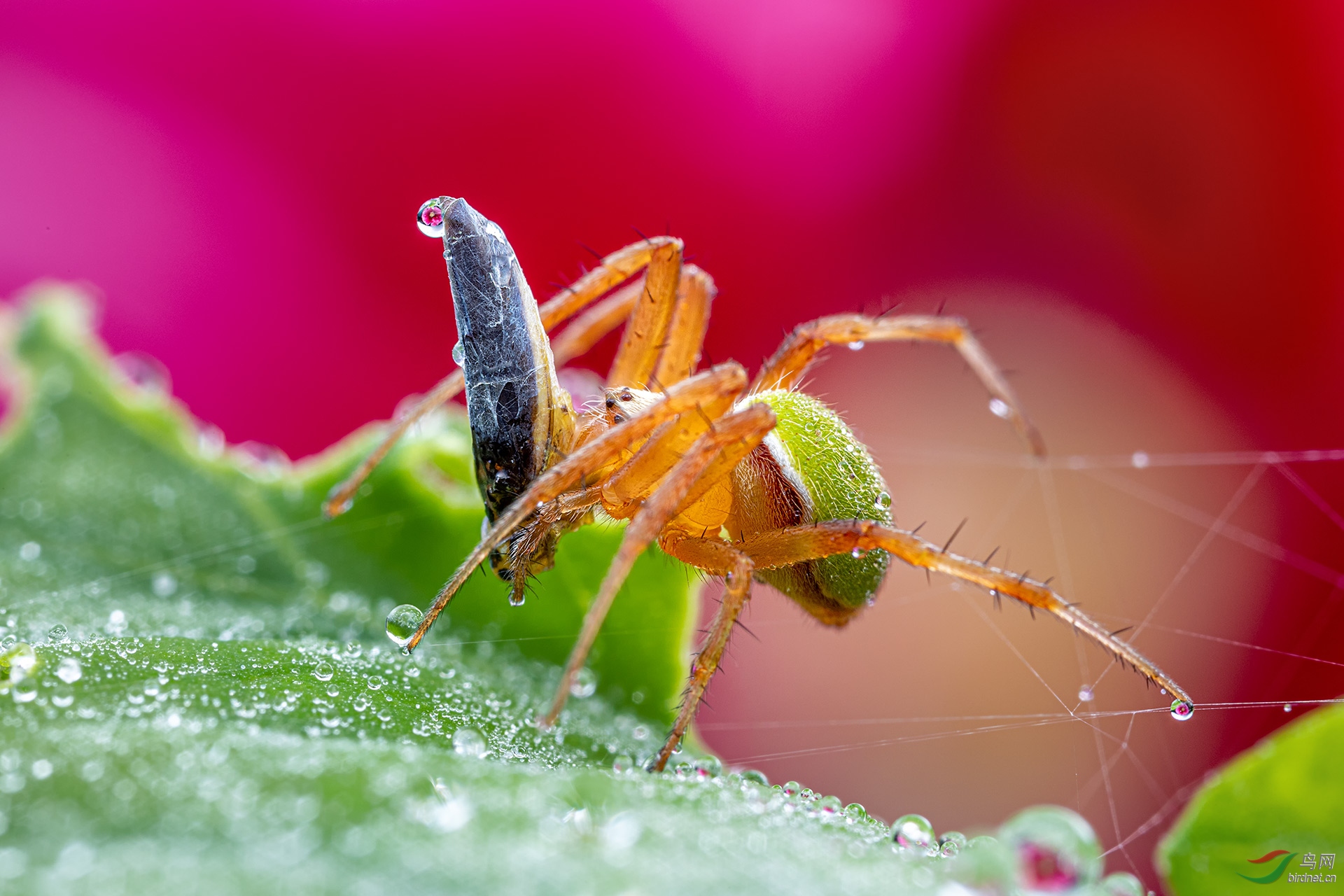 _G3A8506-1.jpg