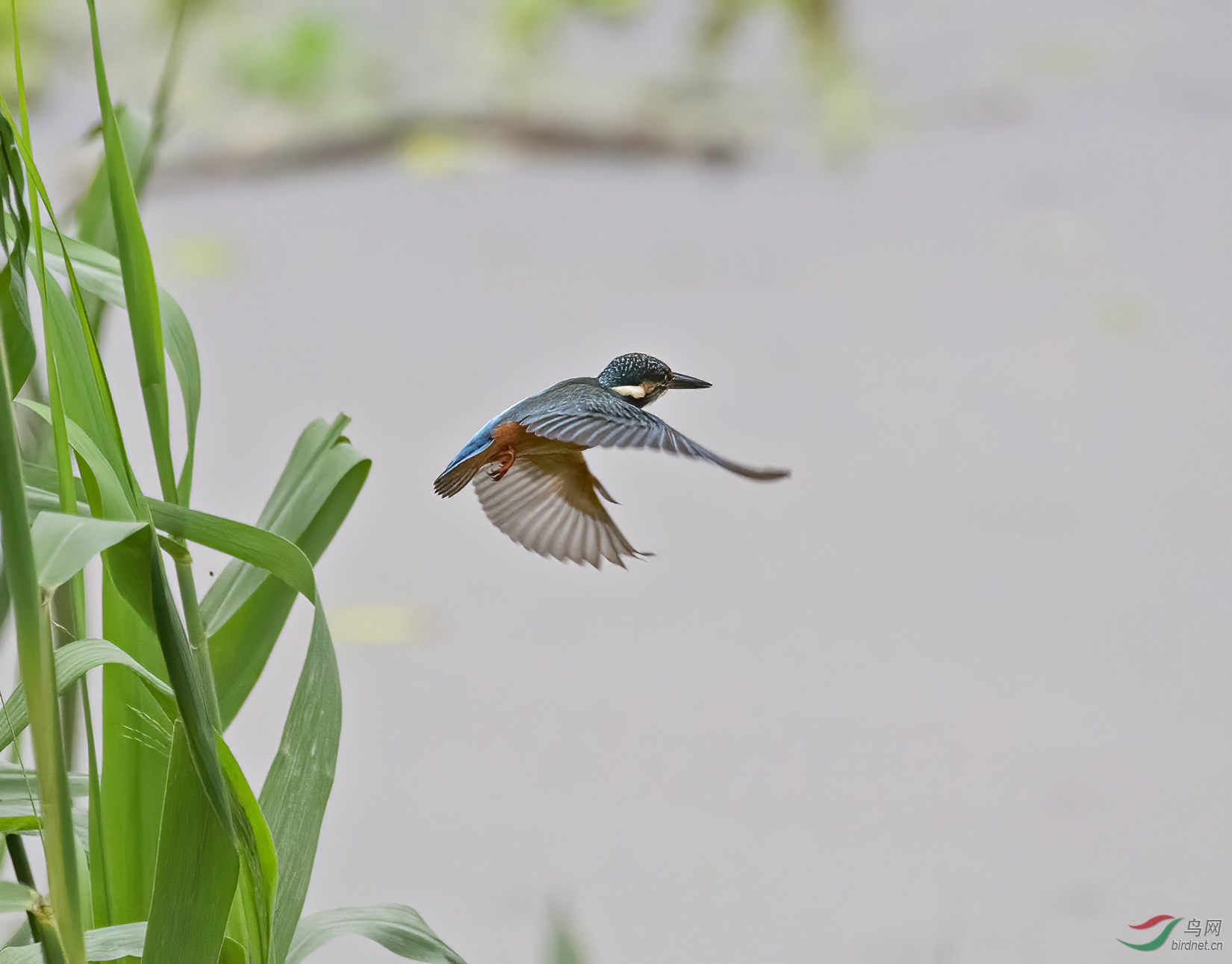 DSC_2837.jpg