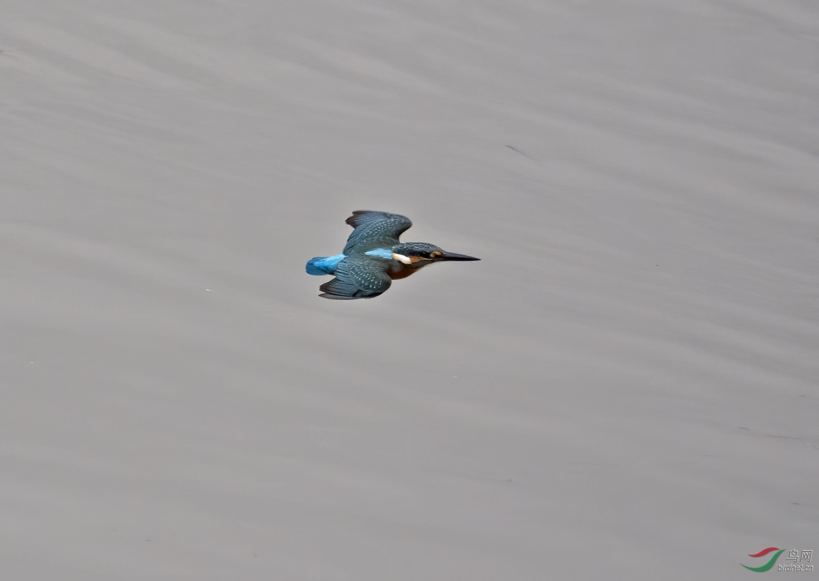 DSC_2840.jpg