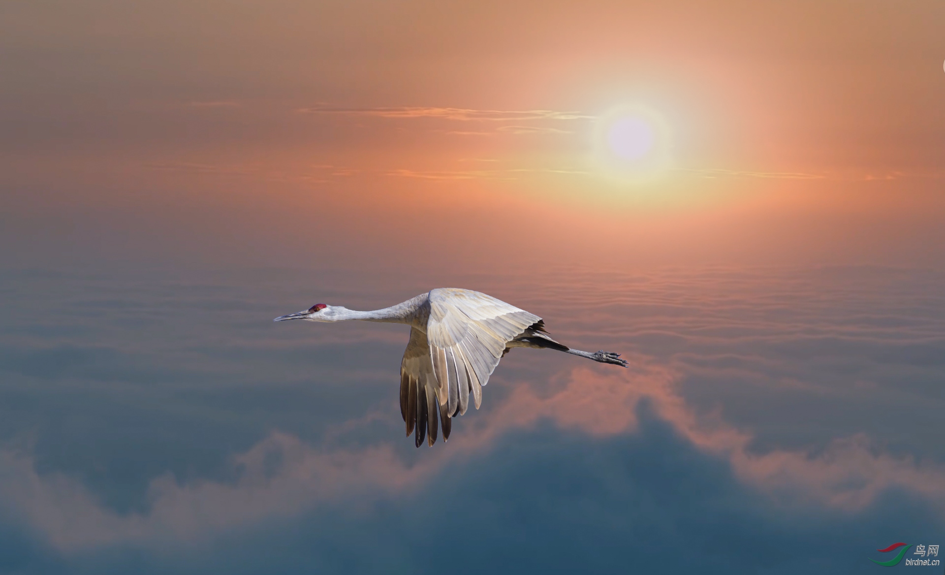 �������ɣ������� 1920_500k.jpg