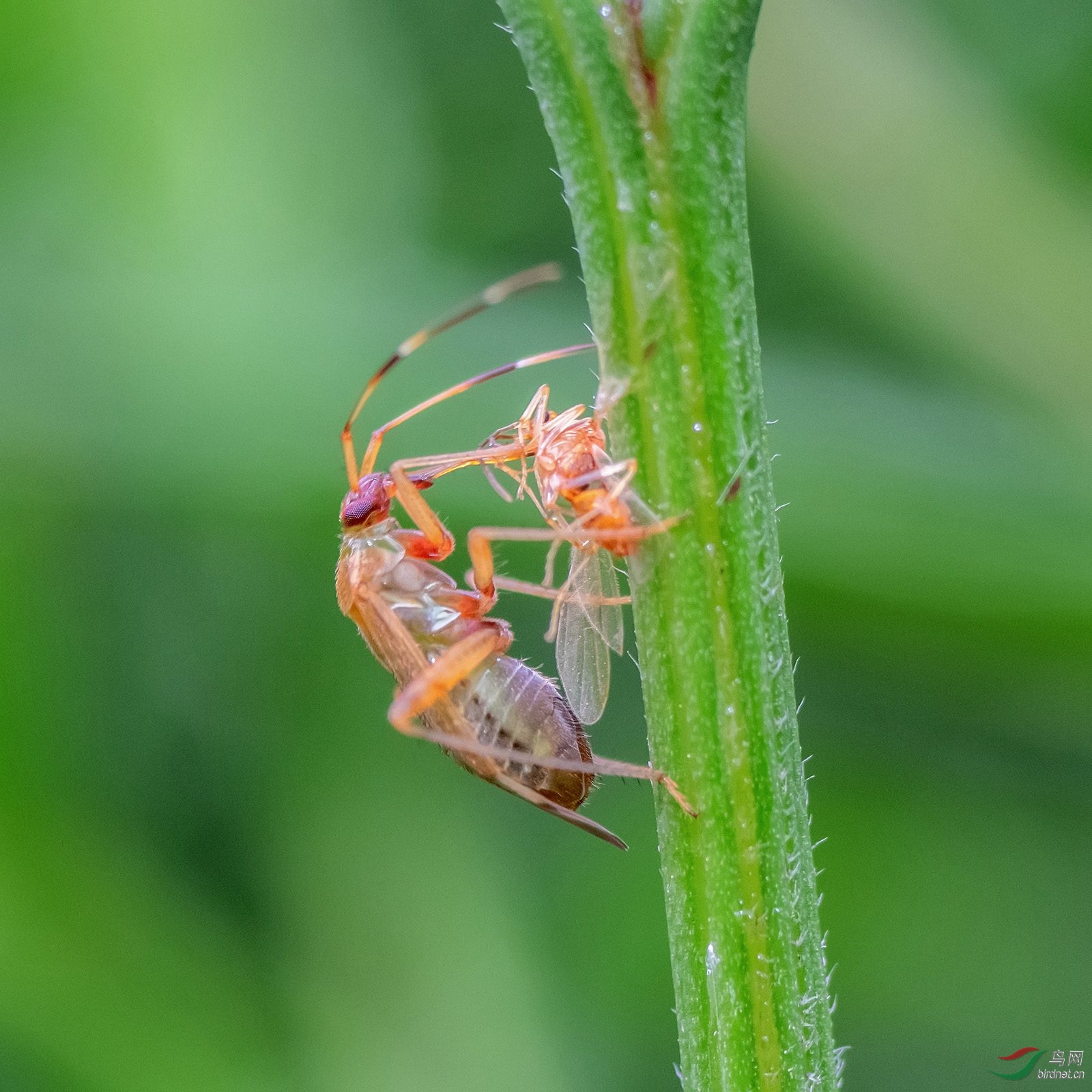 DSC_5347_����.jpg