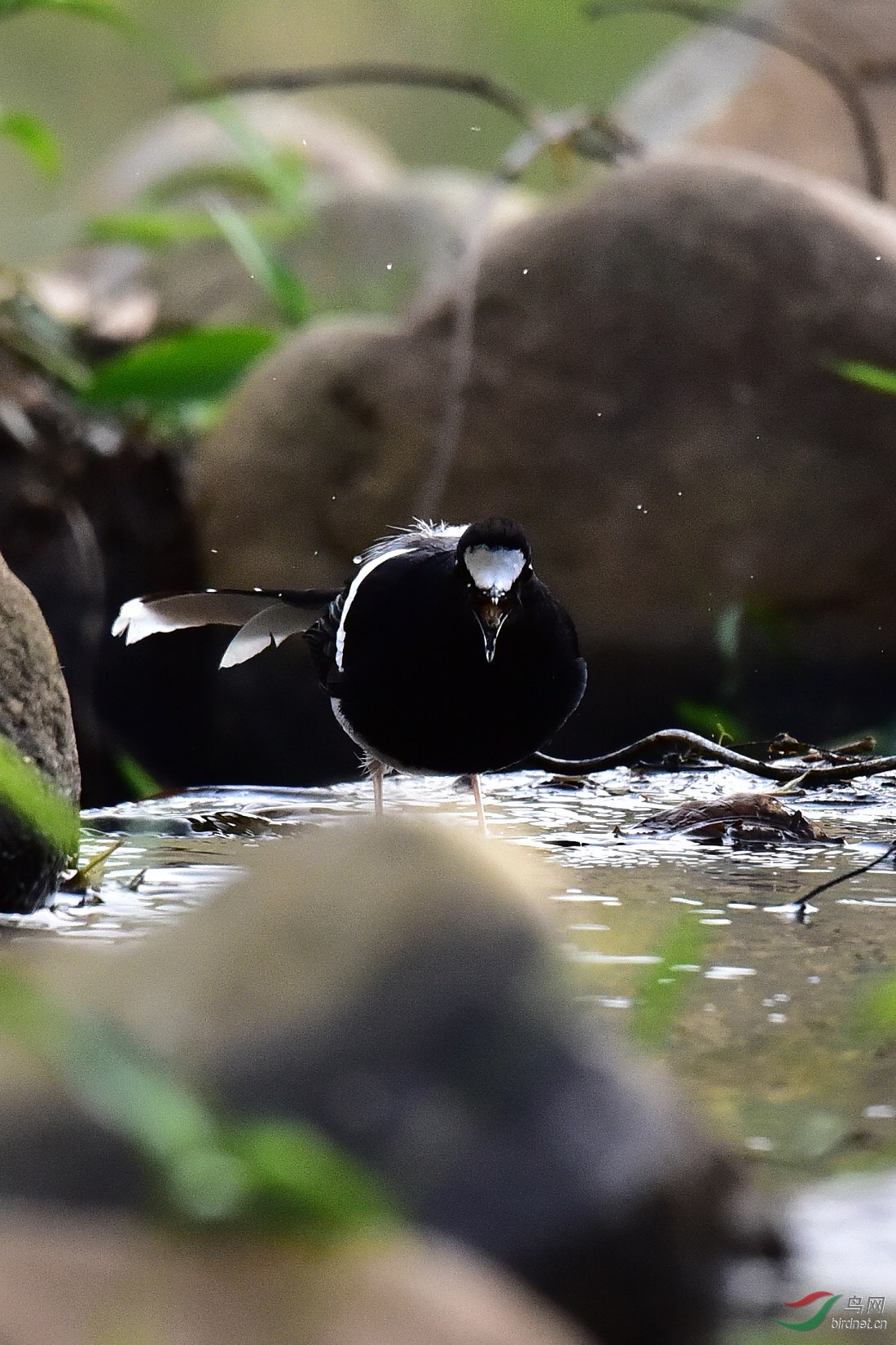 DSC_0962.JPG