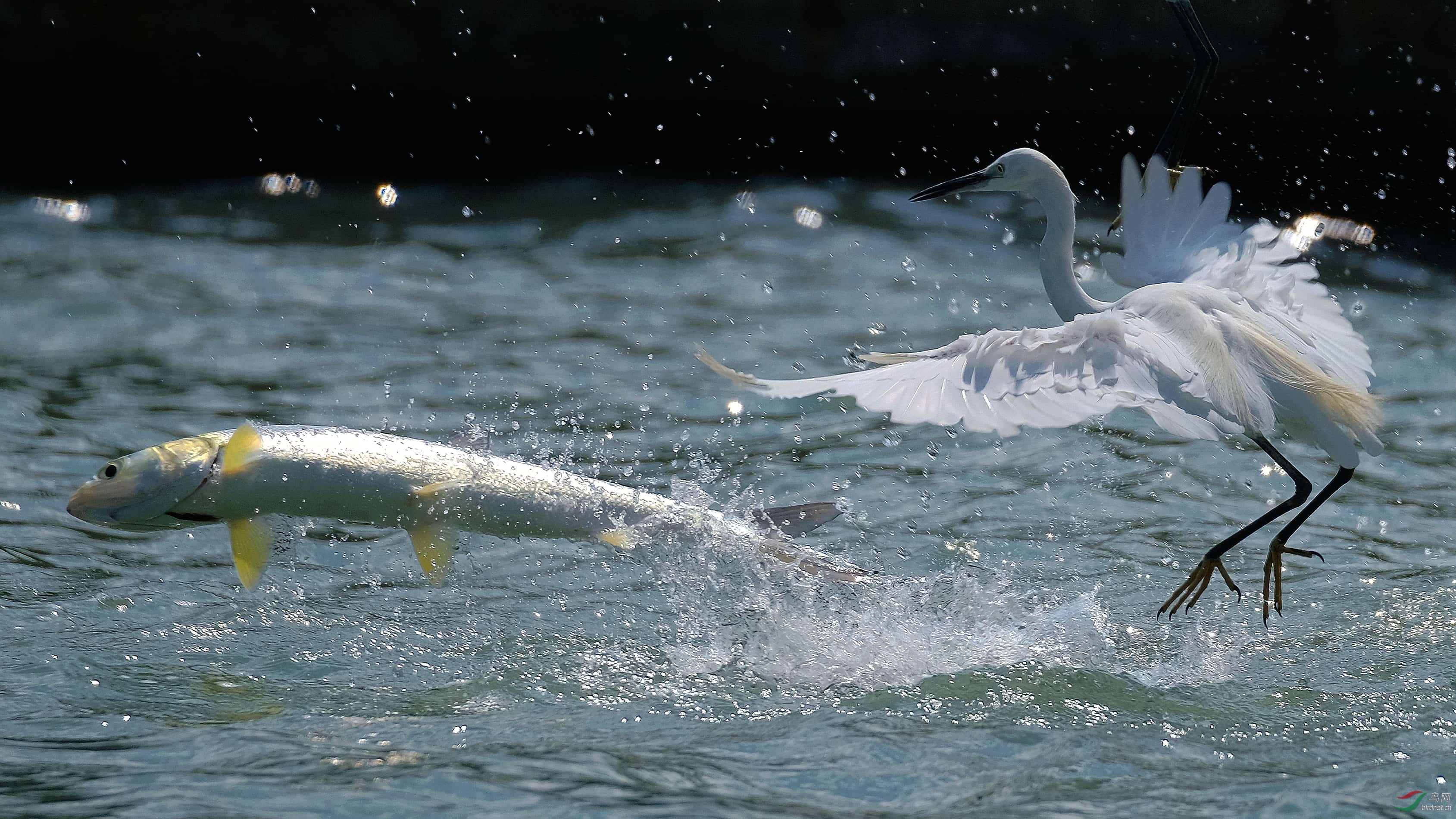 DSCF1428_����_���� (1).jpg