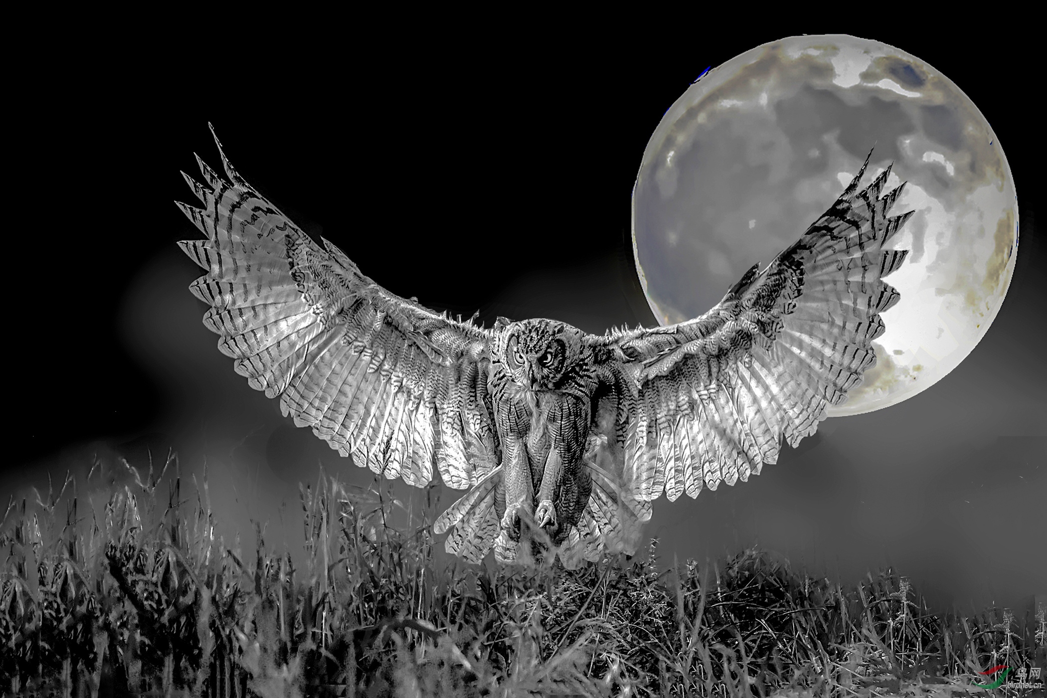 DSC_3832_����_���� (2)_����_����_����_����_����.jpg