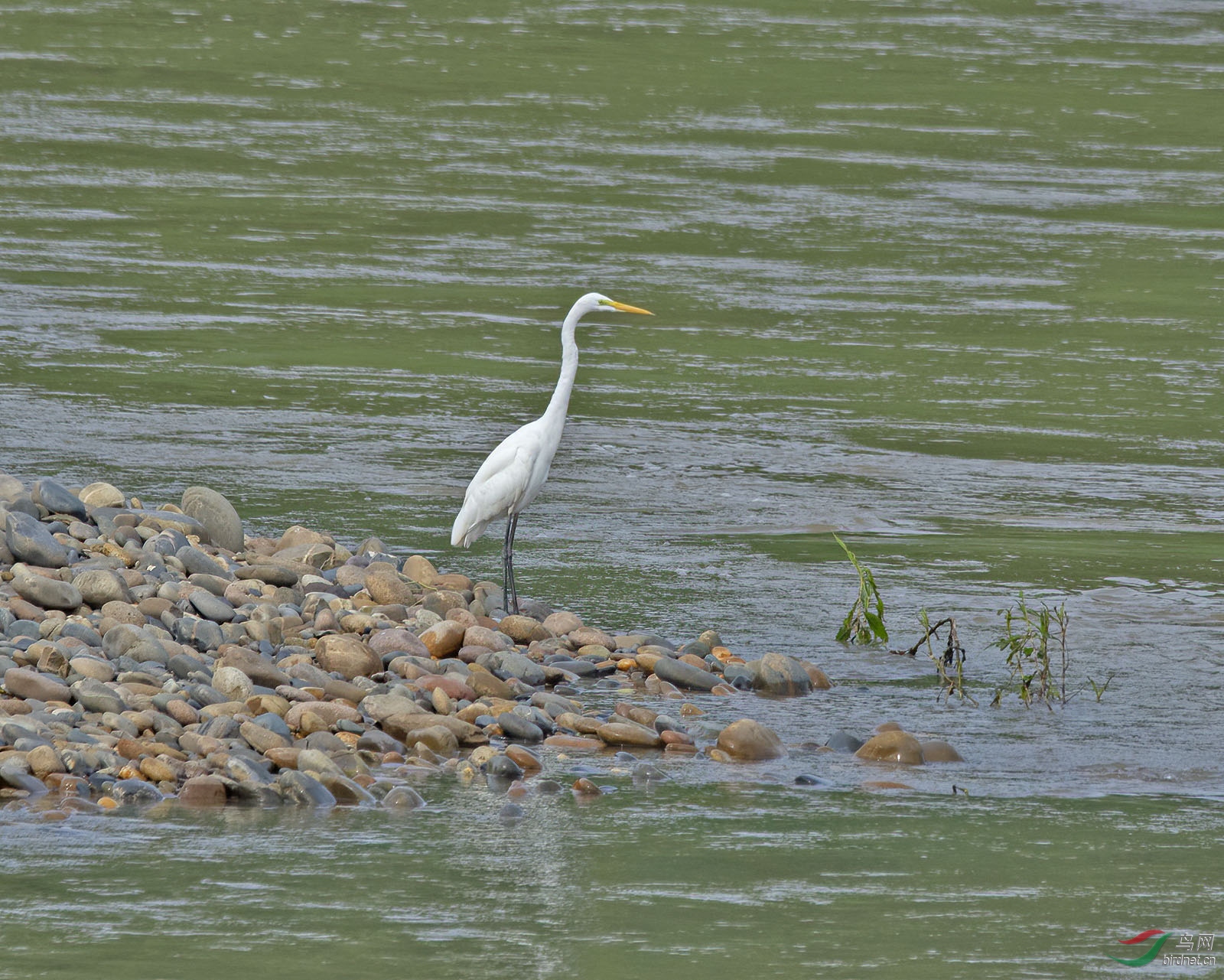 DSC_2037.jpg