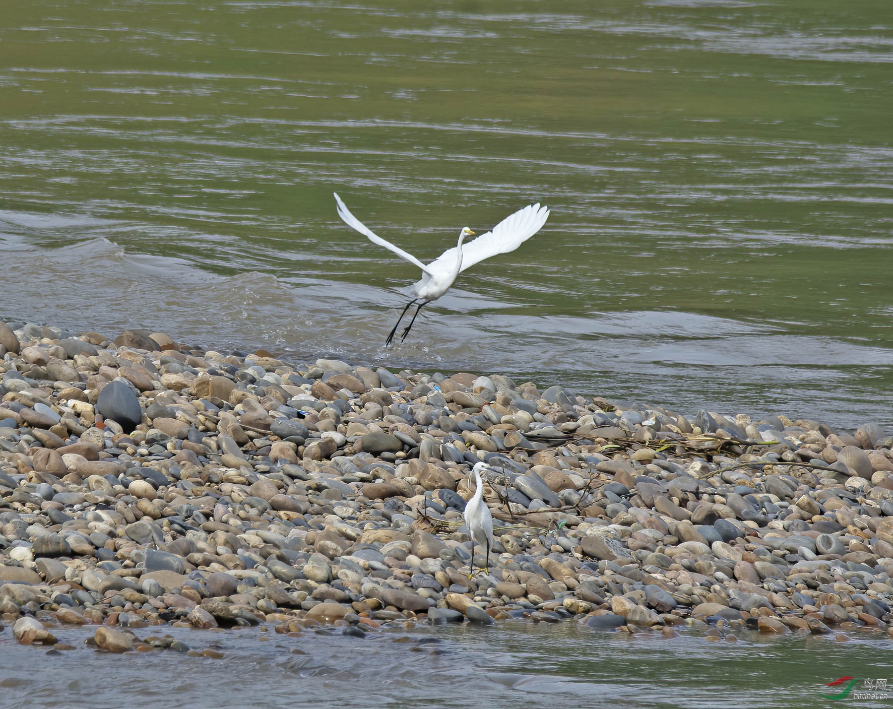 DSC_2077.jpg