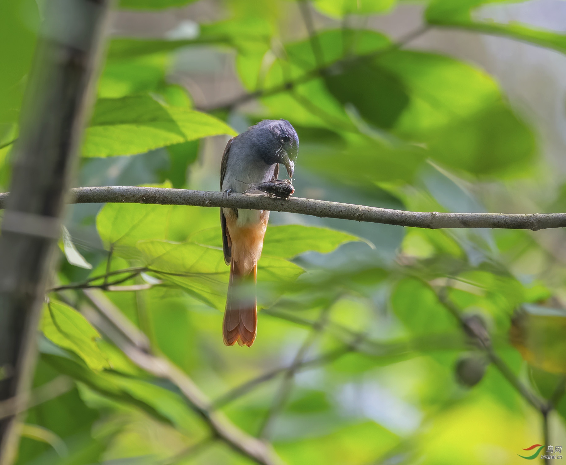 DSC_1786.jpg