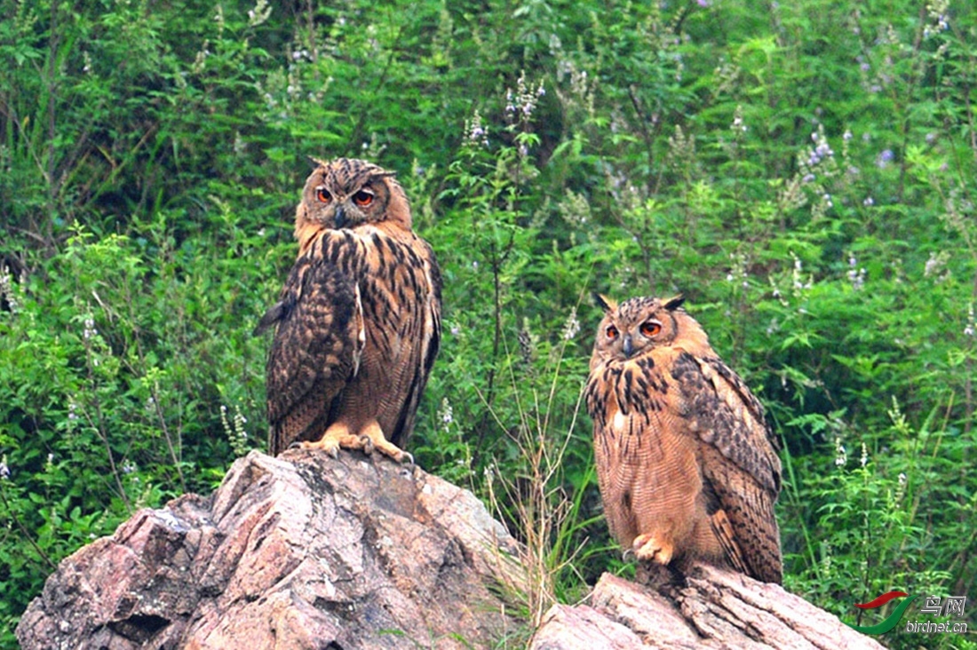 �������� ��ʦ�����ںӱ�ʡ �ػʵ���.jpg