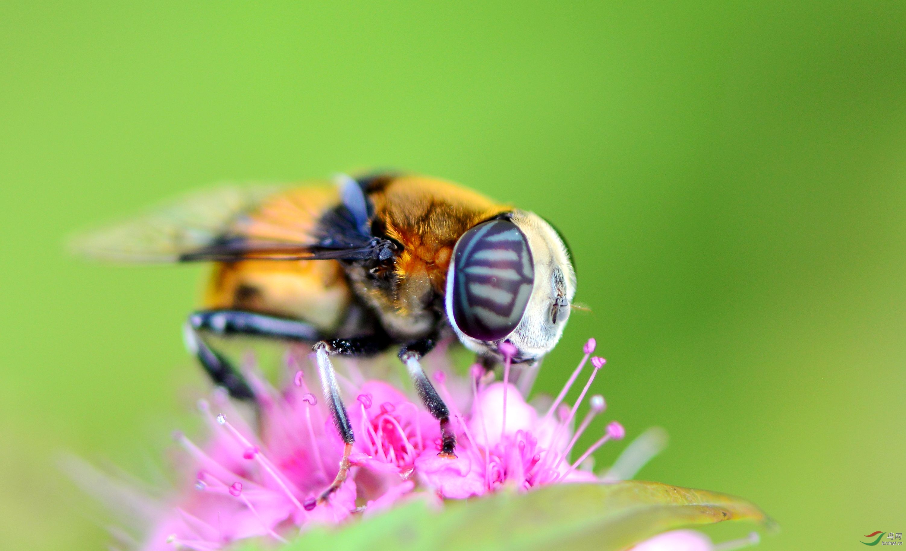DSC_9400_conew2.jpg