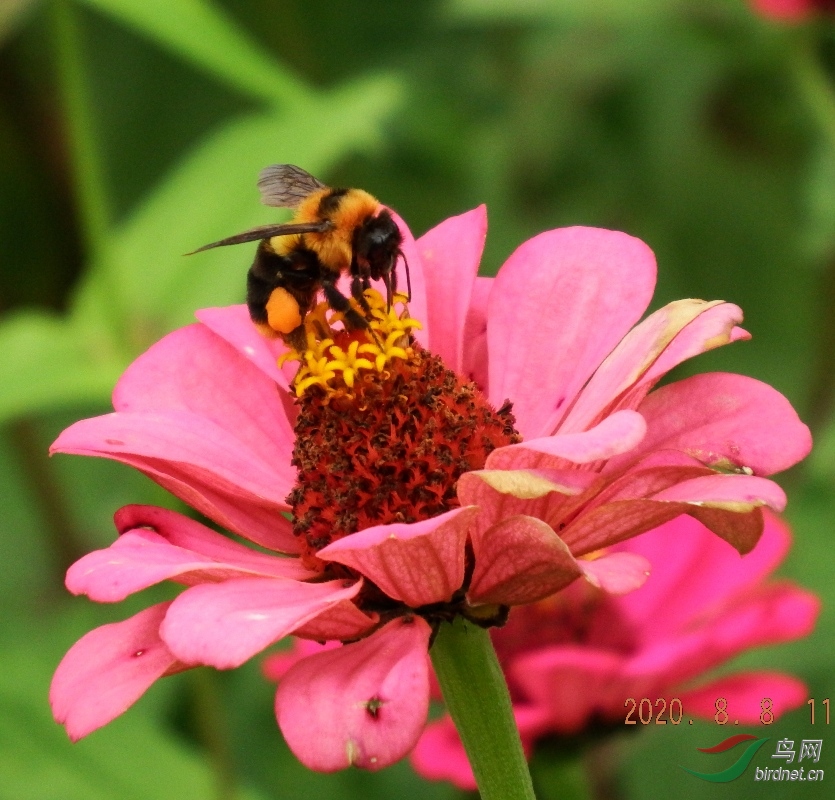 S0141086-01.jpg
