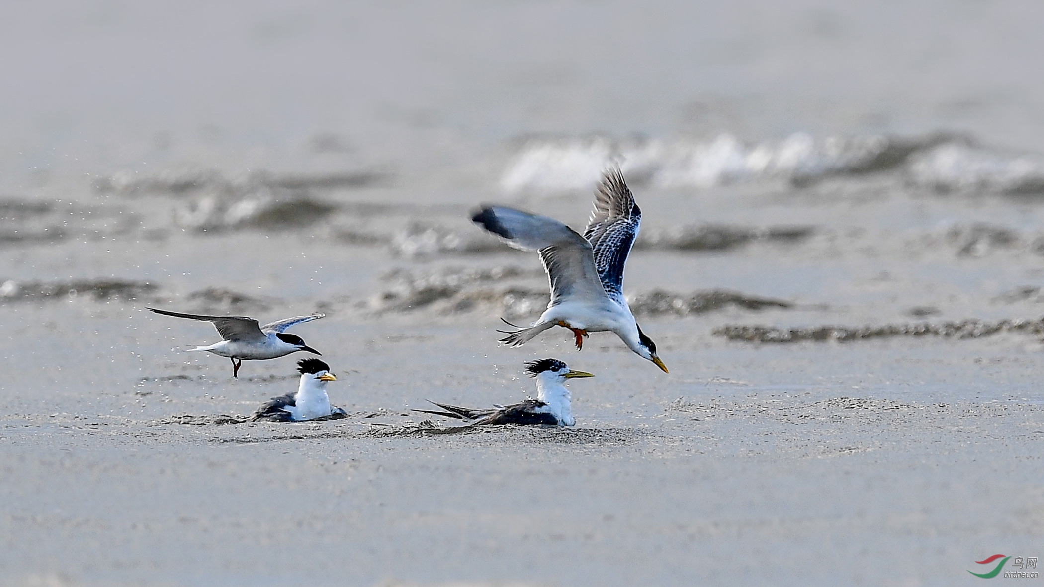 DSC_7920-1.jpg