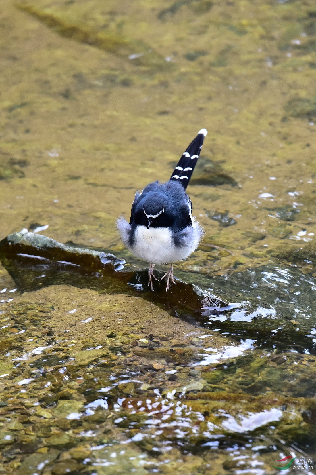 DSC_0982.JPG