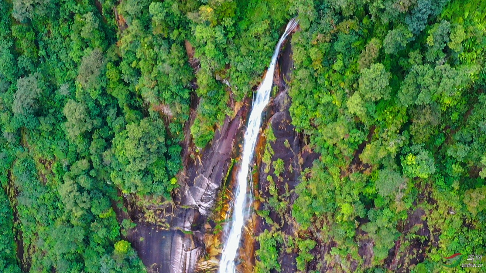 74 �� ������.00_00_44_18.Still001_����.jpg