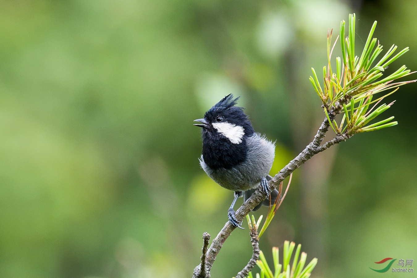 XC5_2369 - ����.jpg