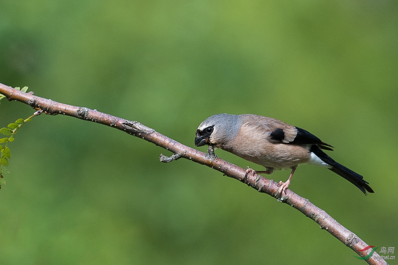 XC5_4512 - ����.jpg