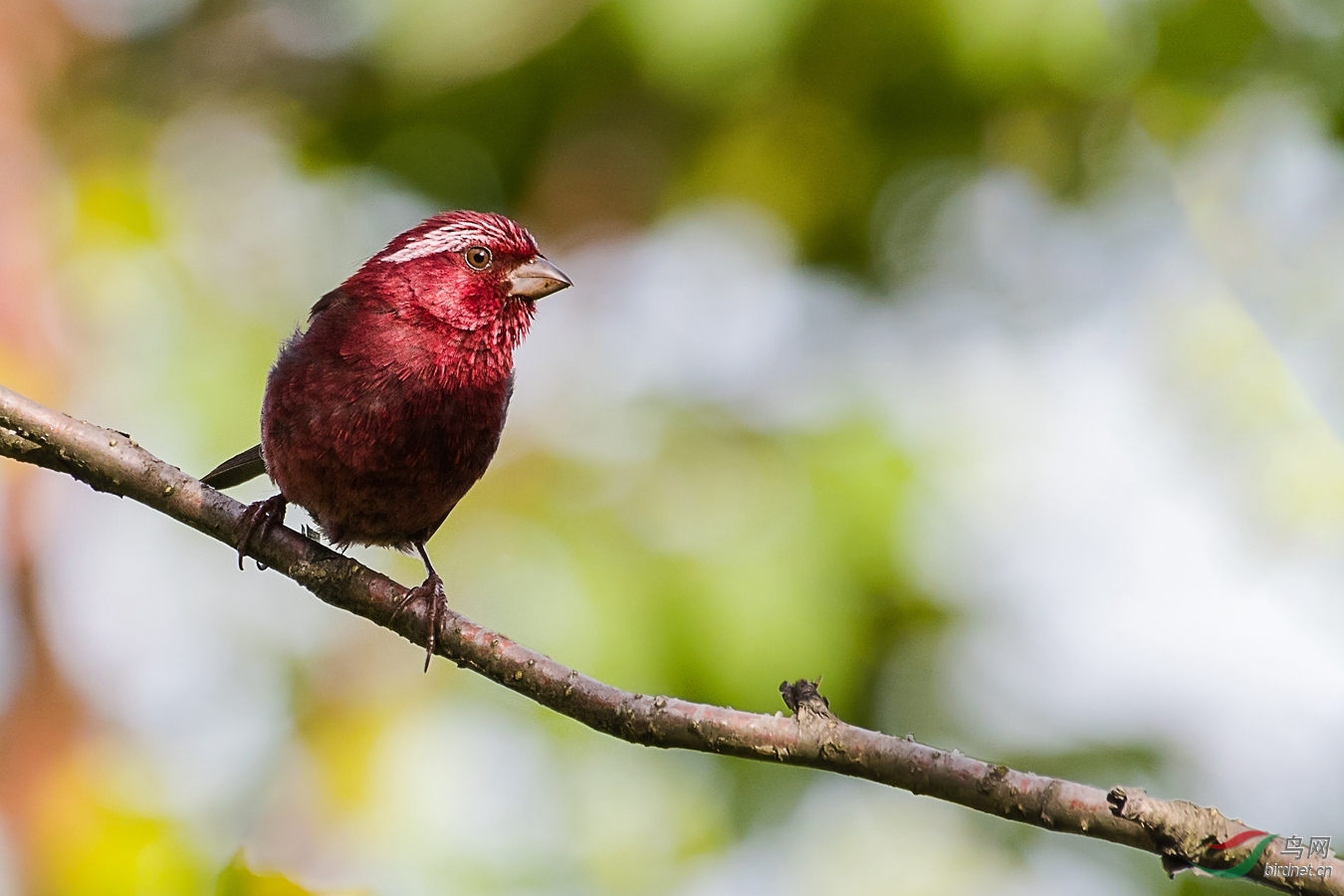 XC5_2529 - ����.jpg