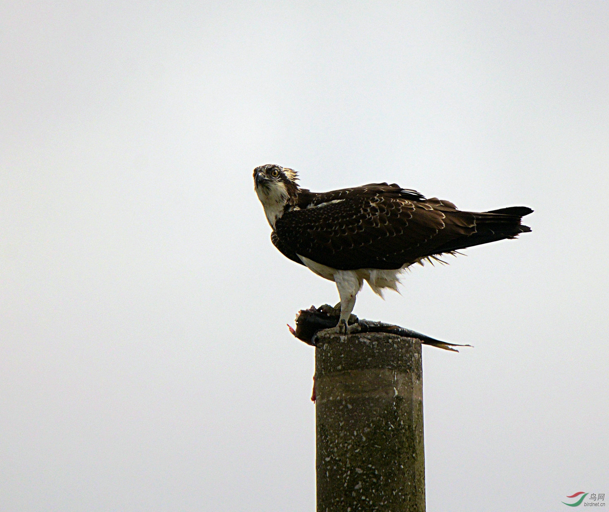 DSC_2576.jpg