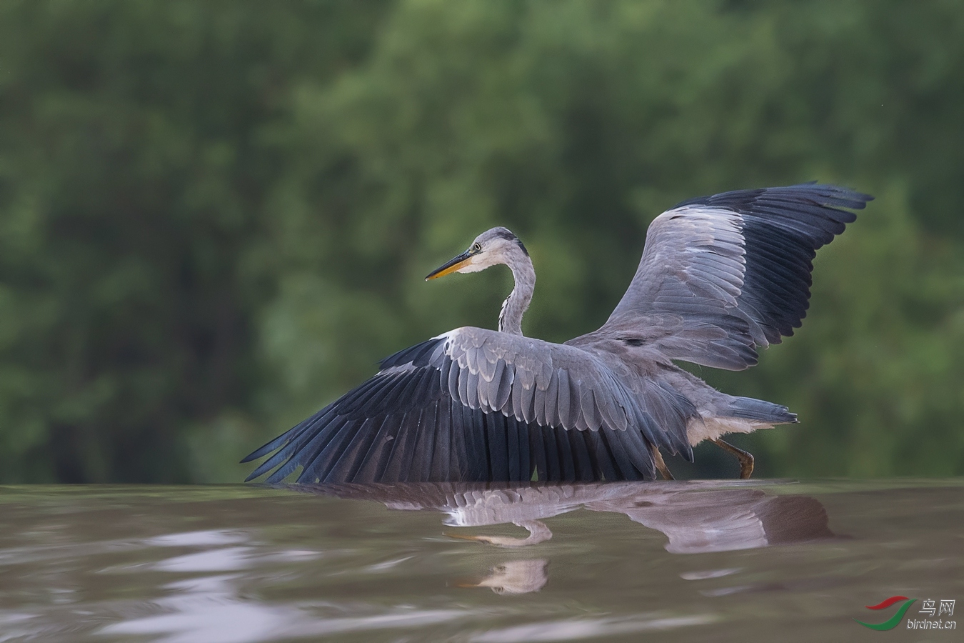 XC5_4936 - ����.jpg