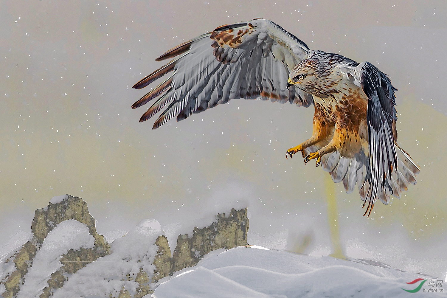 DSC_6786 (2)_����_����_����.jpg