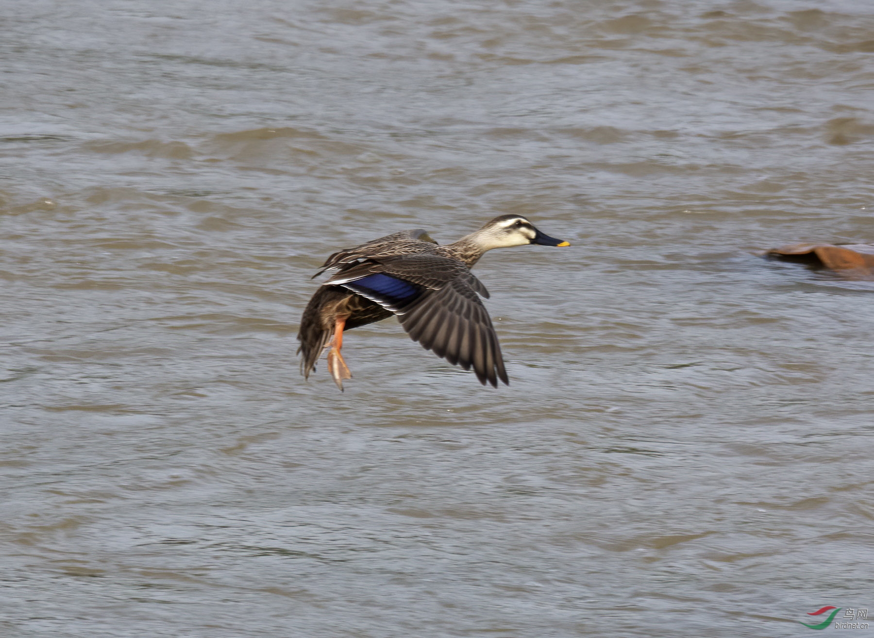DSC_1895.jpg