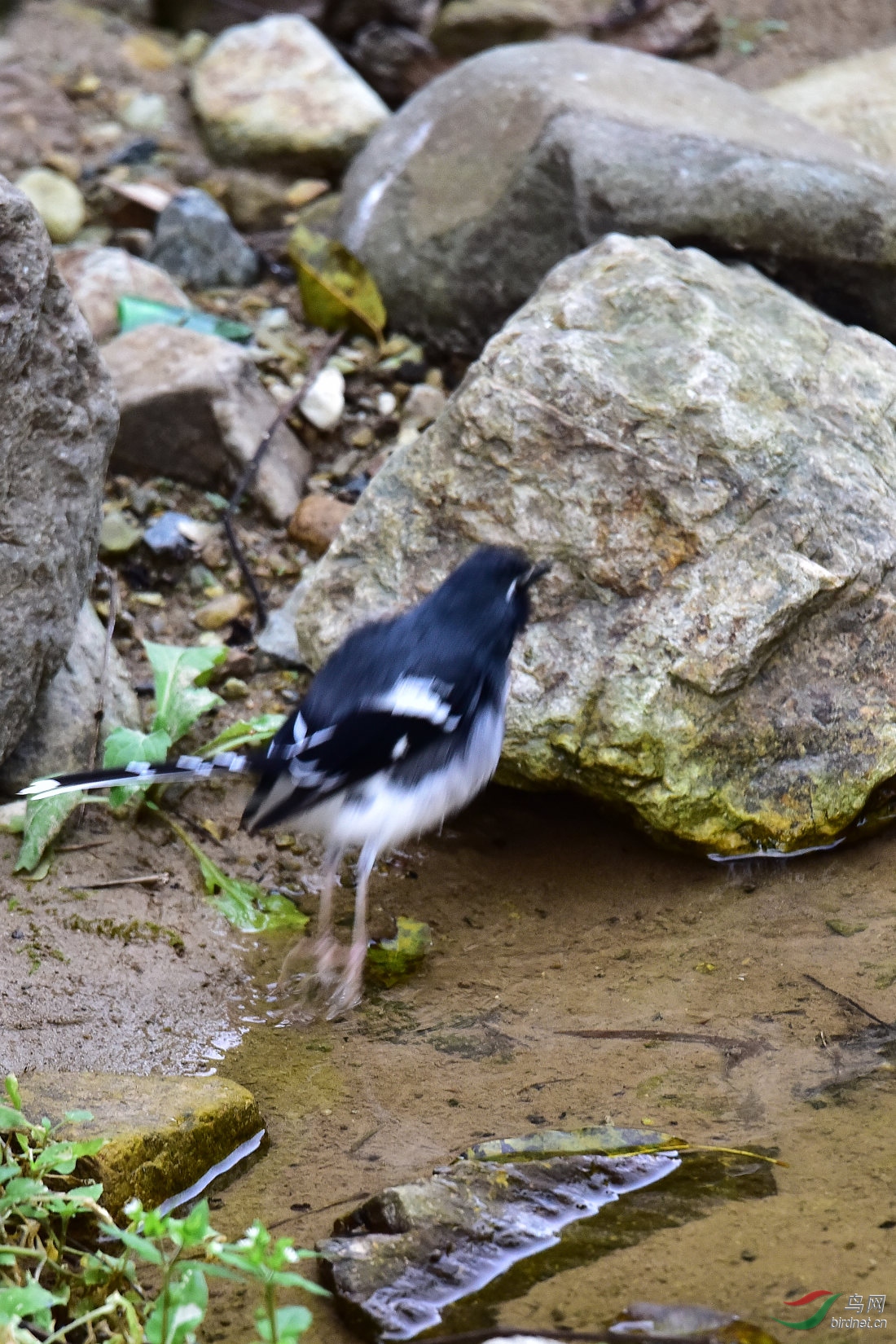 DSC_0987.JPG