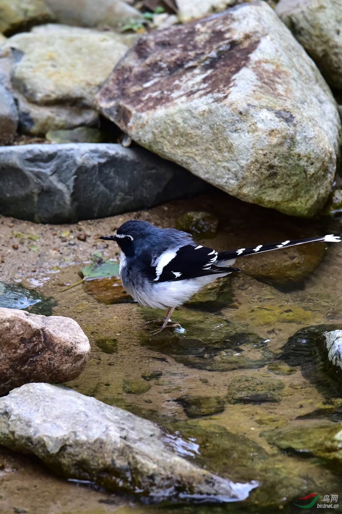 DSC_0990.JPG
