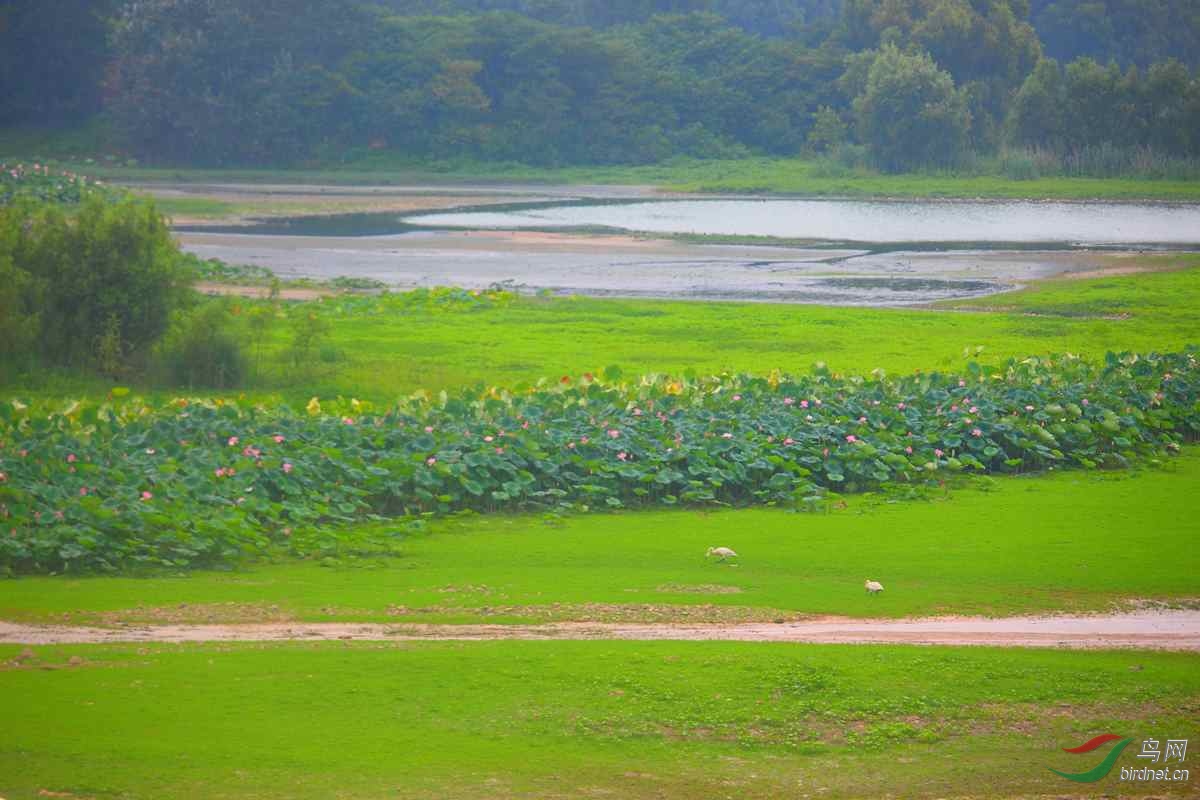 IMG_6292.jpg