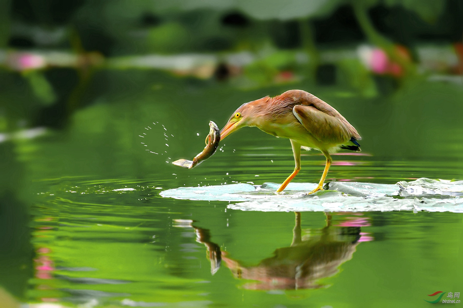 DSC_8630_����_����_����_���� (3)_����_����.jpg