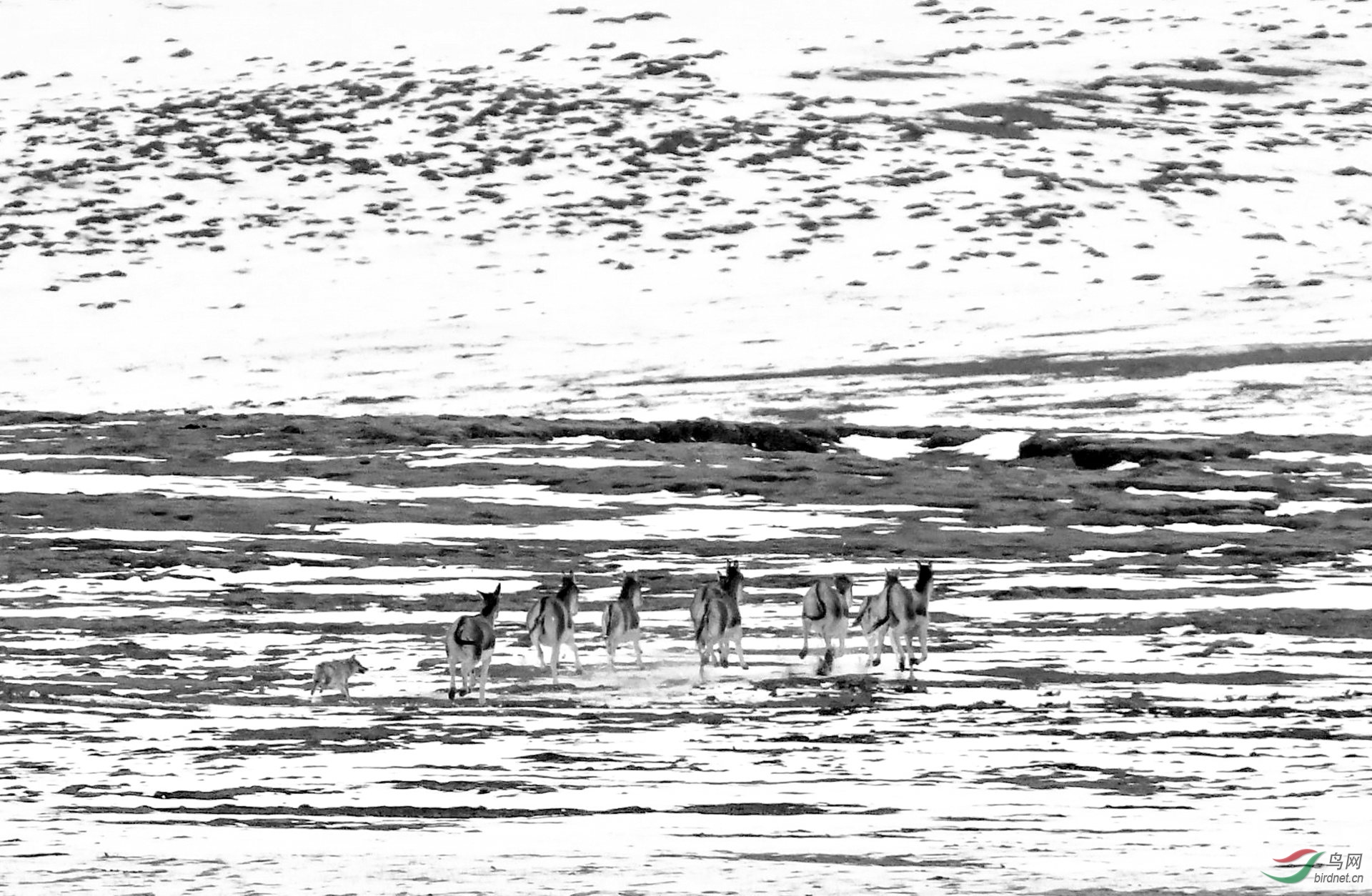 ���к�Դ-����Ϯ����Ӱ���μ��� (2)_����.jpg