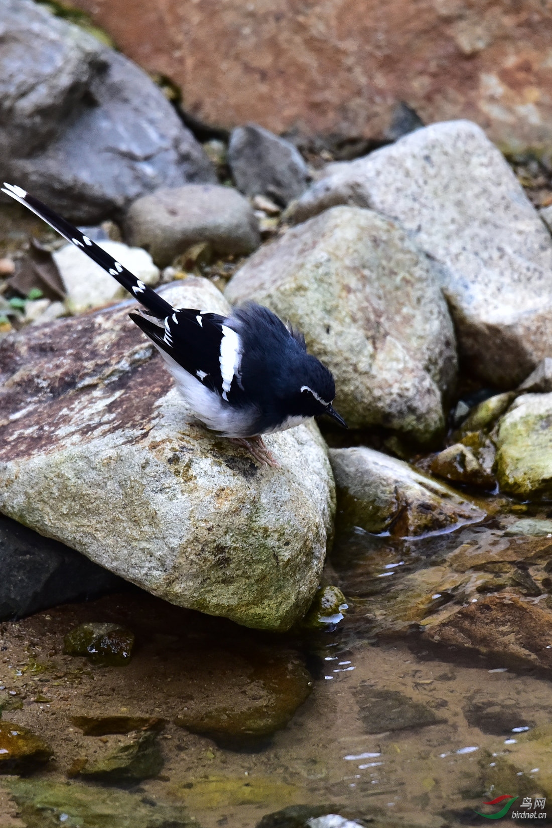 DSC_0991.JPG