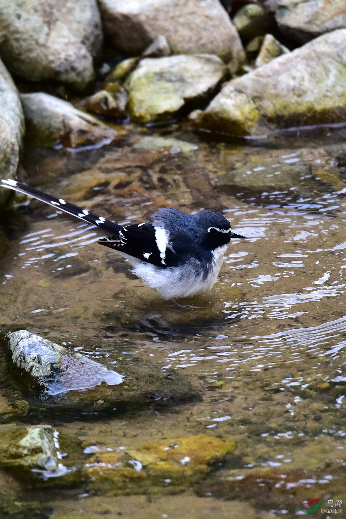 DSC_0992.JPG