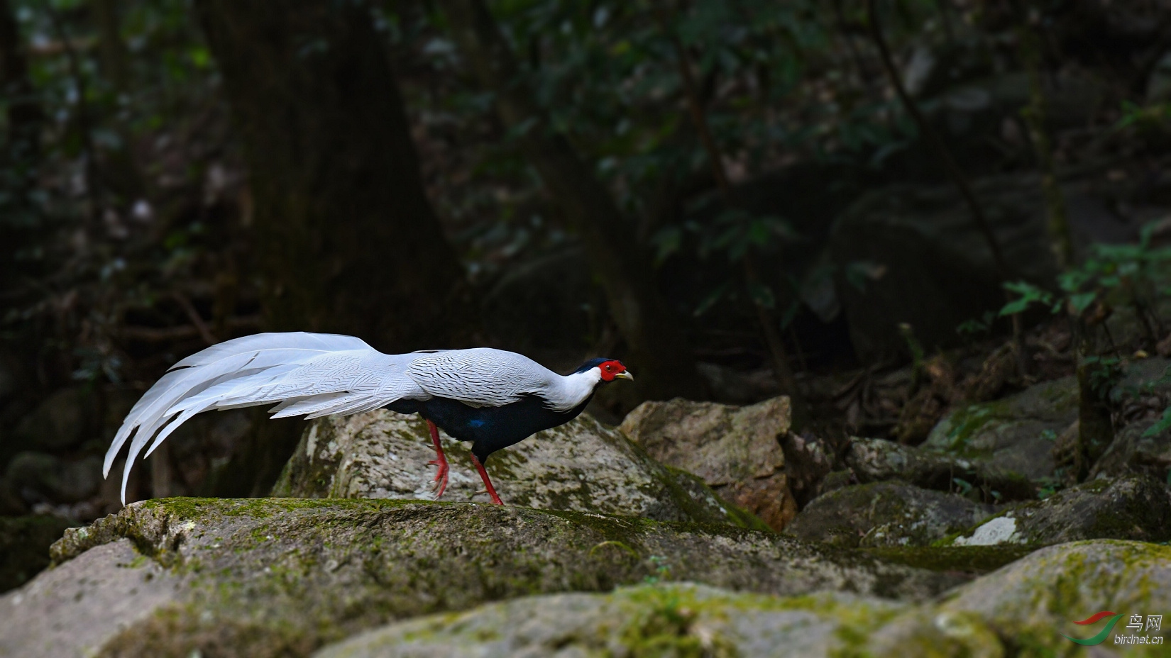 DSC_6351.jpg