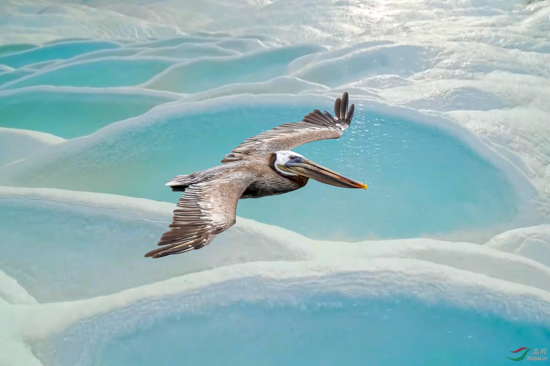 ��������4 ���� 1920x500k.jpg