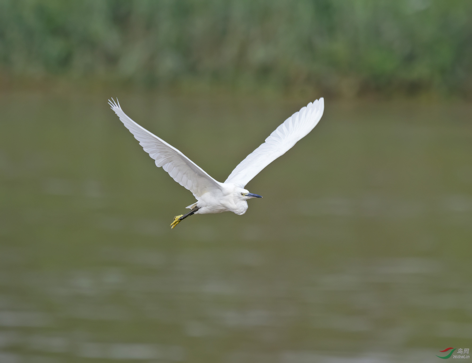 DSC_1948.jpg
