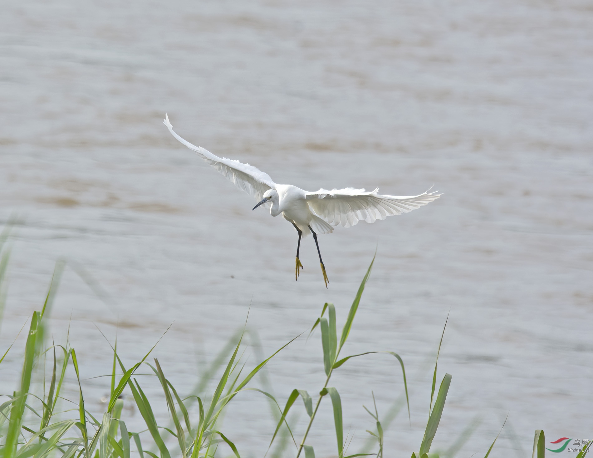DSC_1875.jpg