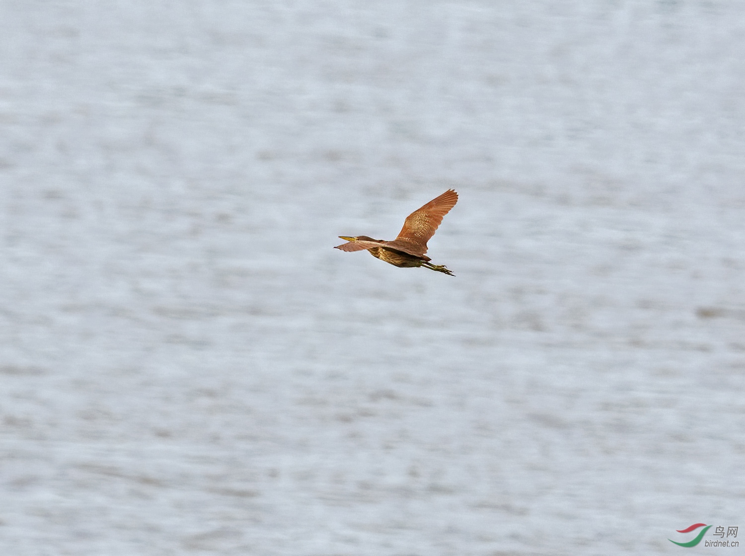 DSC_1855.jpg