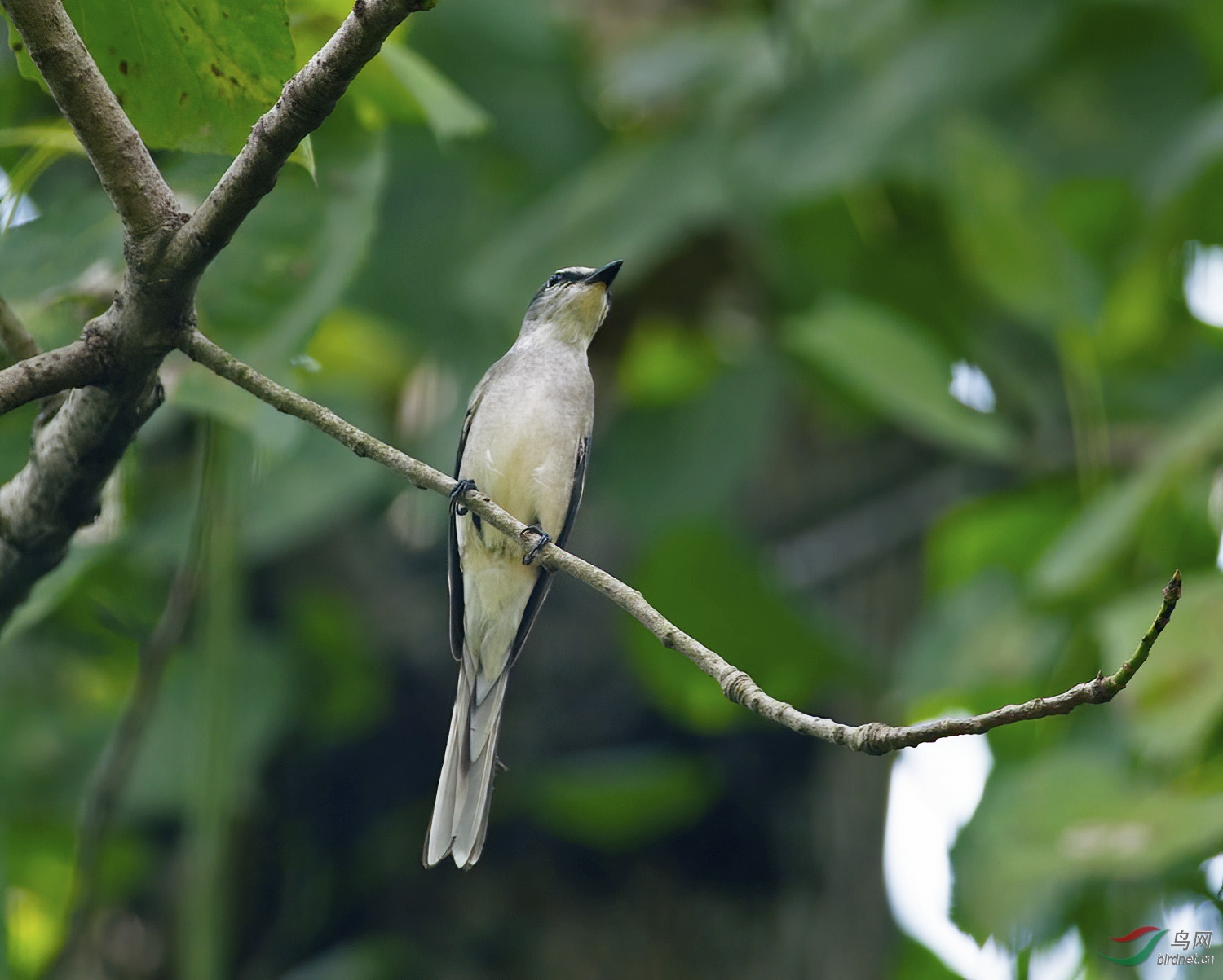 DSC_0089.jpg